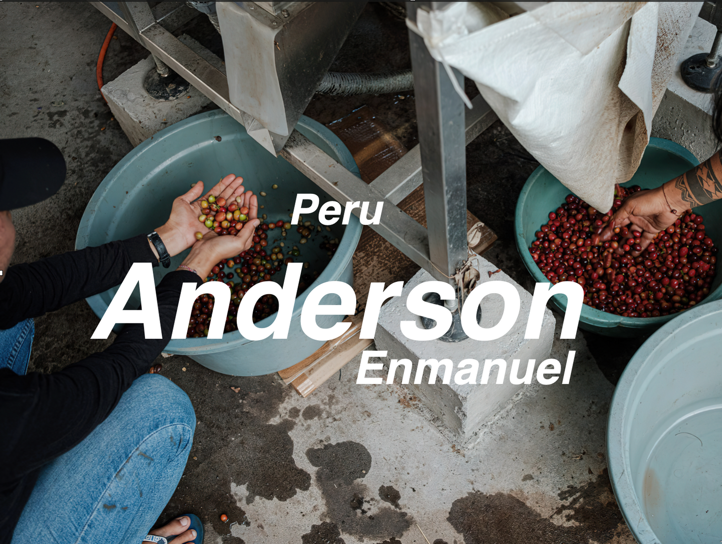 秘魯 安德森公爵 蜜處理 (Peru Anderson Enmanuel Honey)