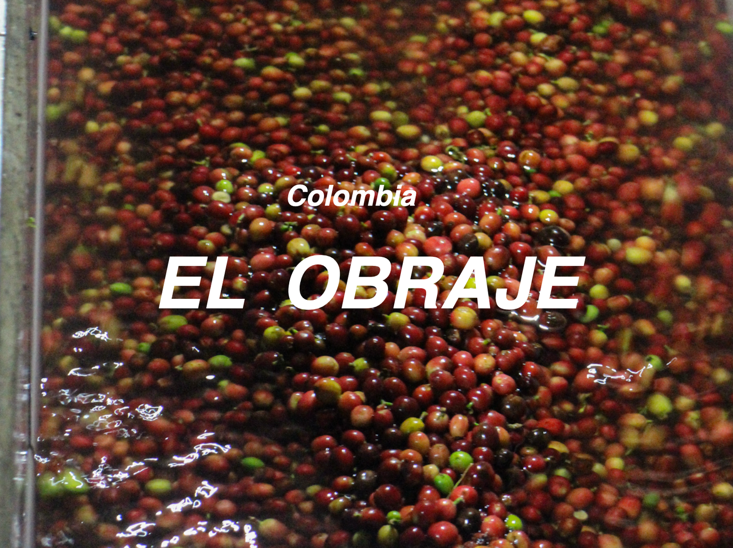 哥倫比亞 工匠莊園 水洗 (Colombia El Obraje Washed)