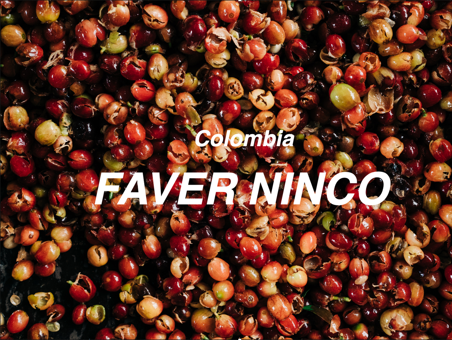 哥倫比亞 林口 粉紅波旁 水洗 (Colombia Faver Ninco Washed)