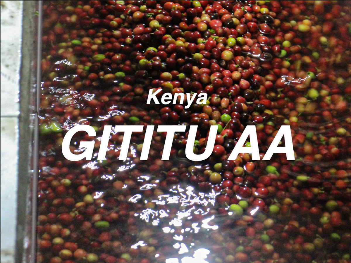 肯亞 基地圖 AA 水洗 (Kenya Nyeri Gititu AA Washed)