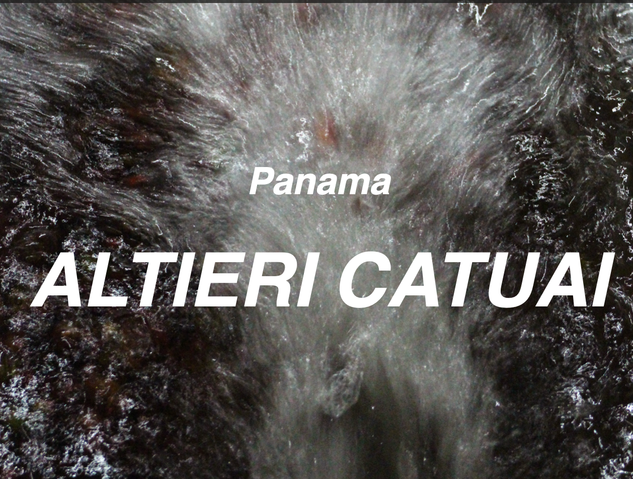 巴拿馬 波奎特 阿爾鐵里 卡杜艾 日曬 (Panama Boquete Altieri Catuai Natural)