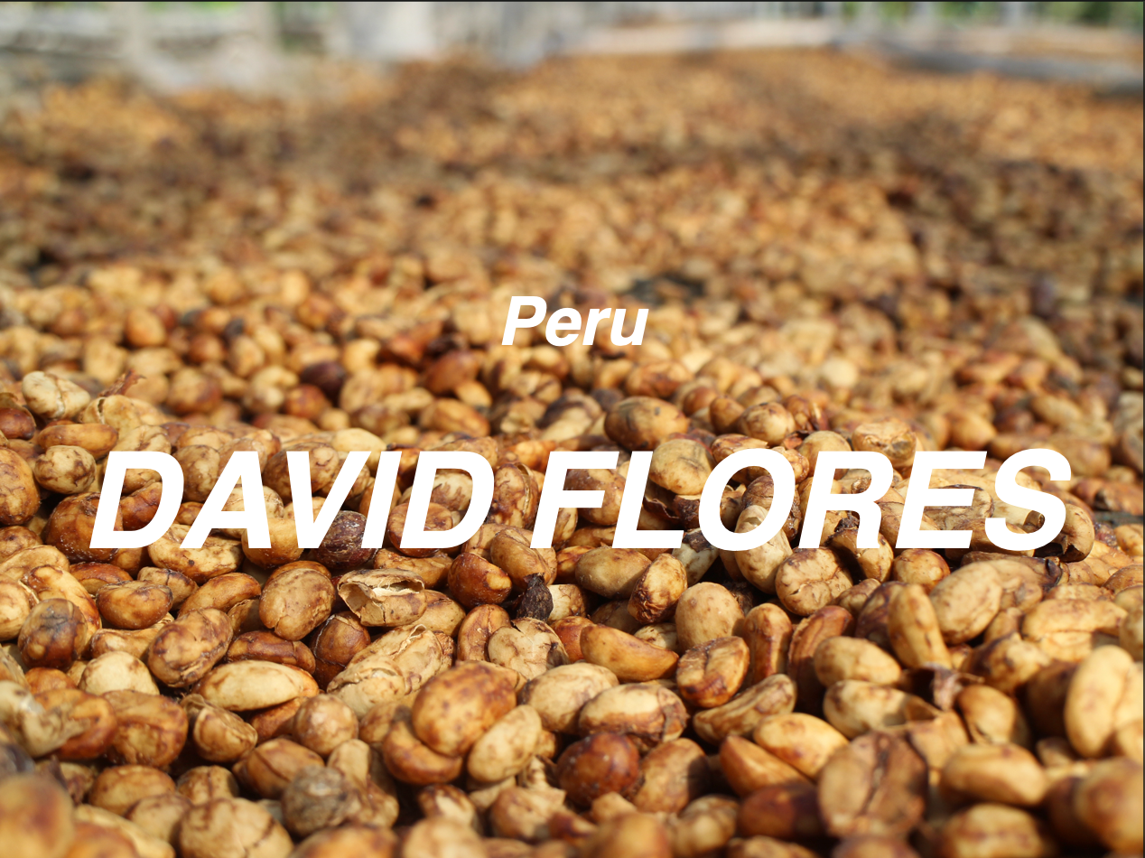 秘魯 花之馬歇爾 日曬 (Peru David Flores Marshall Natural)