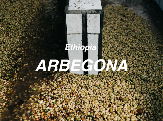 衣索比亞 花貝果娜 ⽔洗 (Ethiopia Arbegona Rumudamo Washed）