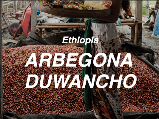 衣索比亞 阿貝果那 朵望丘 日曬 (Ethiopia Arbegona Duwancho Natural)
