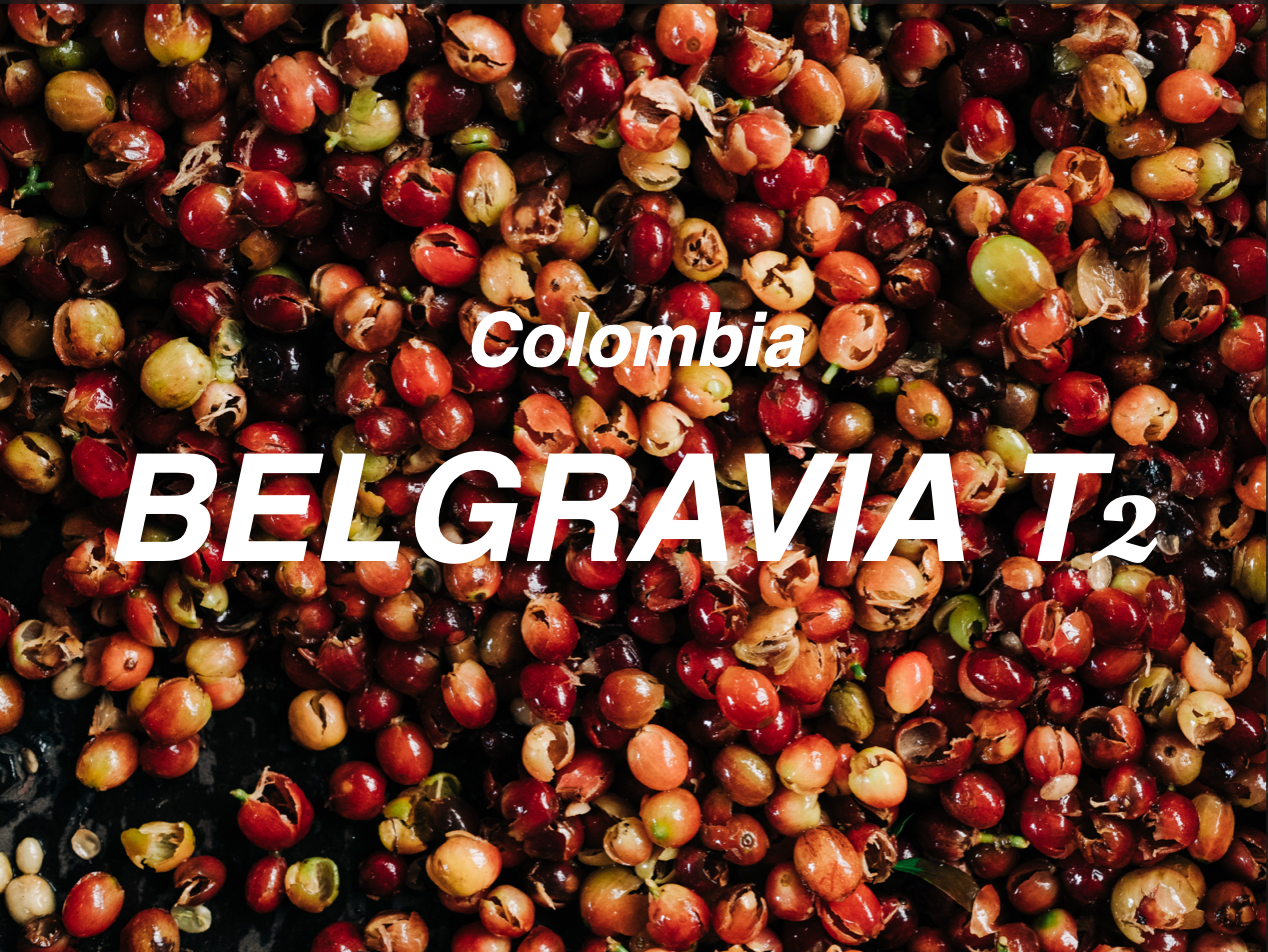 哥倫比亞 寶格麗亞莊園 T2 水洗 (Colombia Finca Belgravia T2 Washed)