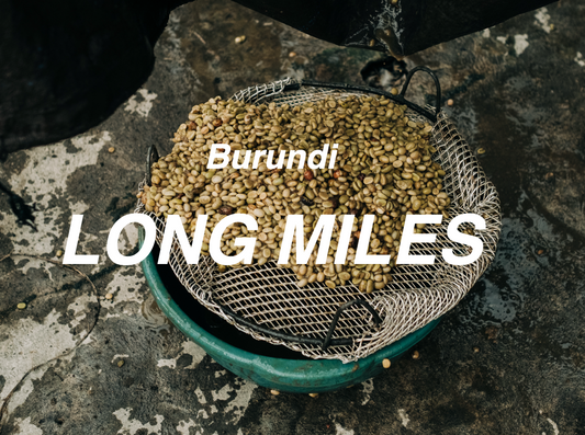 蒲隆地 漫漫長路 紅波旁 延長發酵水洗 (Burundi Long Miles Red Bourbon Washed)