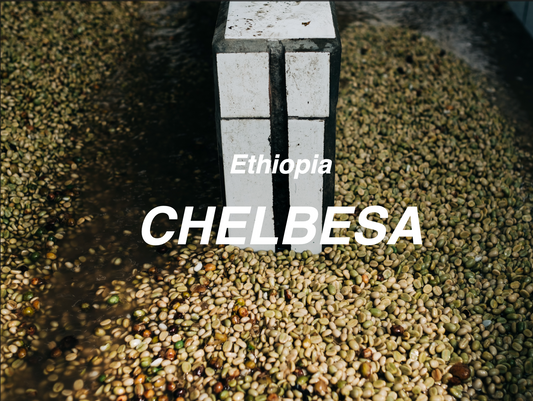 衣索比亞 耶加雪菲 喬蓓莎 ⽔洗 (Ethiopia Yirgacheffe Chelbesa Washed）