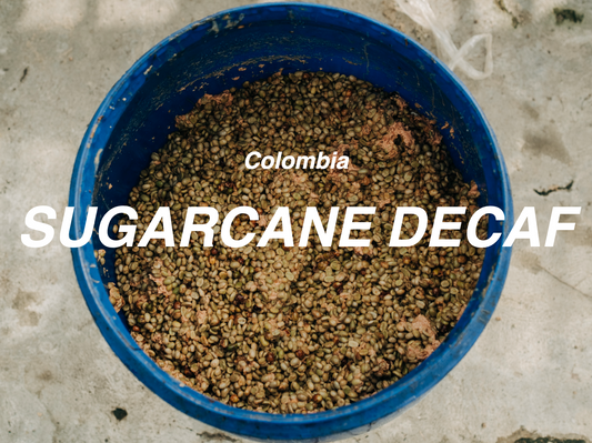 哥倫比亞 蔗糖處理法 低咖啡因咖啡（Colombia La Serrania Sugarcane Decaf）