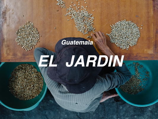 瓜地⾺拉 秘密花園 ⽔洗 (Guatemala El Jardin Washed)