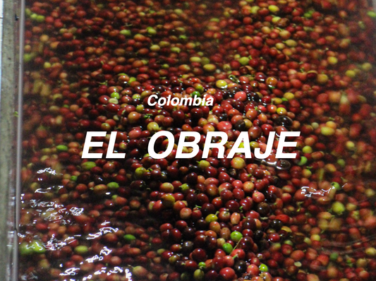 哥倫比亞 工匠莊園 水洗 (Colombia El Obraje Washed)