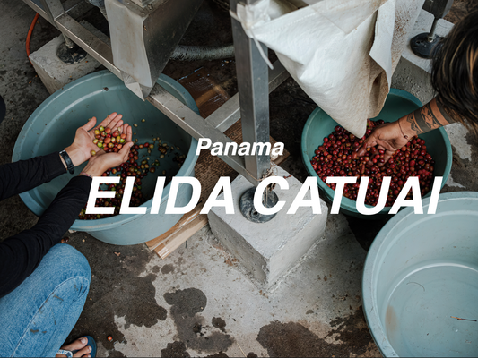 巴拿馬 艾利達莊園 卡度艾 慢乾日曬 (Panama Elida Catuai ASD Natural)