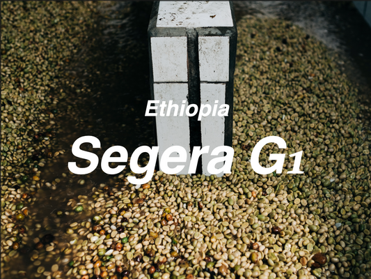 衣索比亞 班莎 薩佳拉處理廠 肯亞式水洗  (Ethiopia Bensa Segera Kenya Washed)