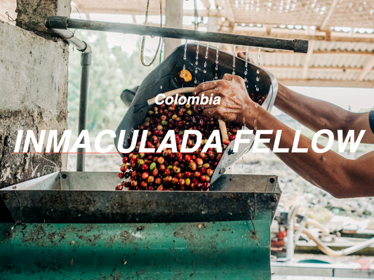 哥倫比亞 無瑕莊園 粉紅波旁 蜜處理 (Colombia Inmaculada Fellow Honey)