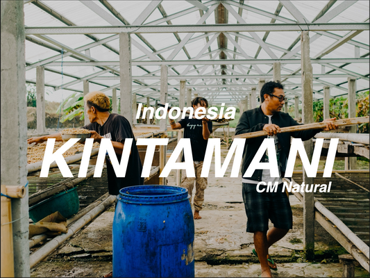 印尼 峇里島 金塔馬尼 二氧化碳日曬 (Indonesia Bali Island Kintamani CM Natural)