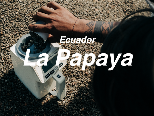 厄瓜多 木瓜莊園 鐵比卡 日曬 (Ecuador La Papaya Typica Natural)