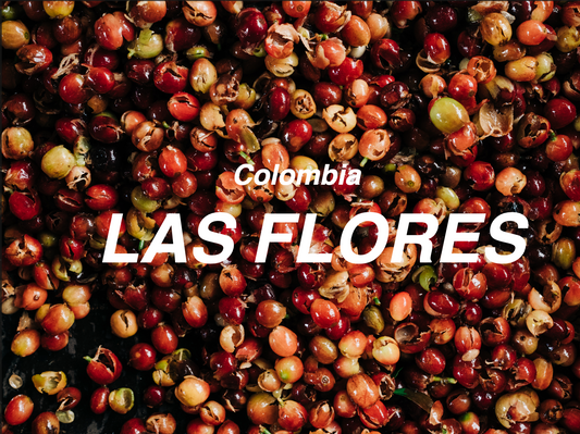 哥倫比亞 花卉莊園 紅波旁 酵母水洗 (Colombia Las Flores Bourbon Washed)