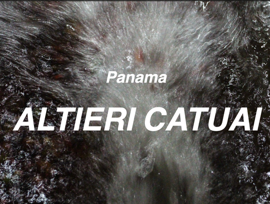 巴拿馬 波奎特 阿爾鐵里 卡杜艾 日曬 (Panama Boquete Altieri Catuai Natural)