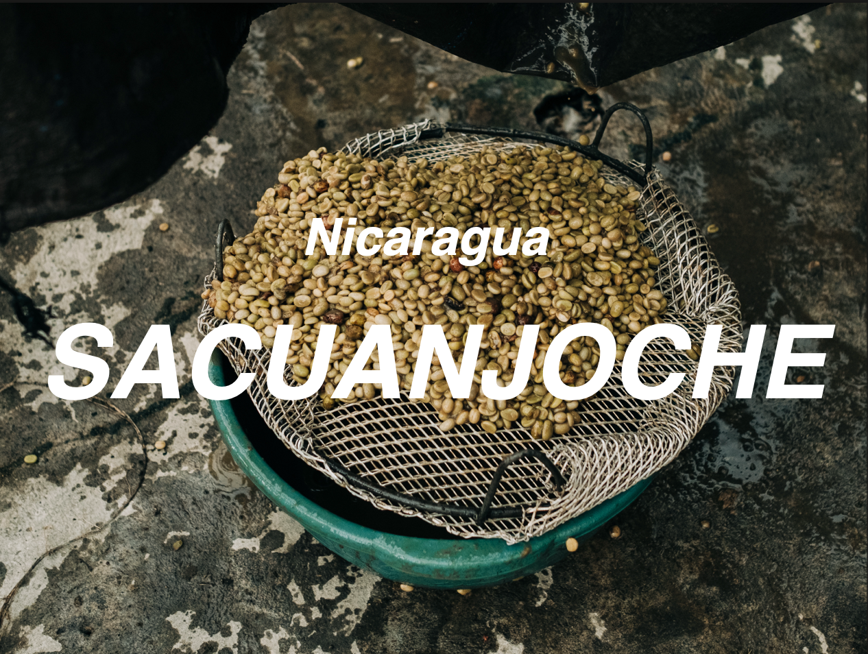 尼加拉瓜 緬梔花 爪哇 水洗 (Nicaragua Nueva Segovia Sacuanjoche Java Washed)