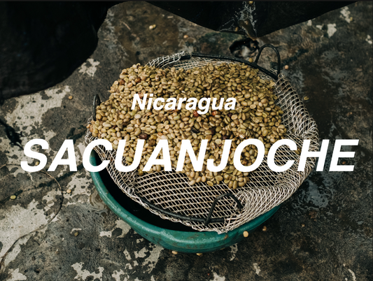 尼加拉瓜 緬梔花 爪哇 水洗 (Nicaragua Nueva Segovia Sacuanjoche Java Washed)