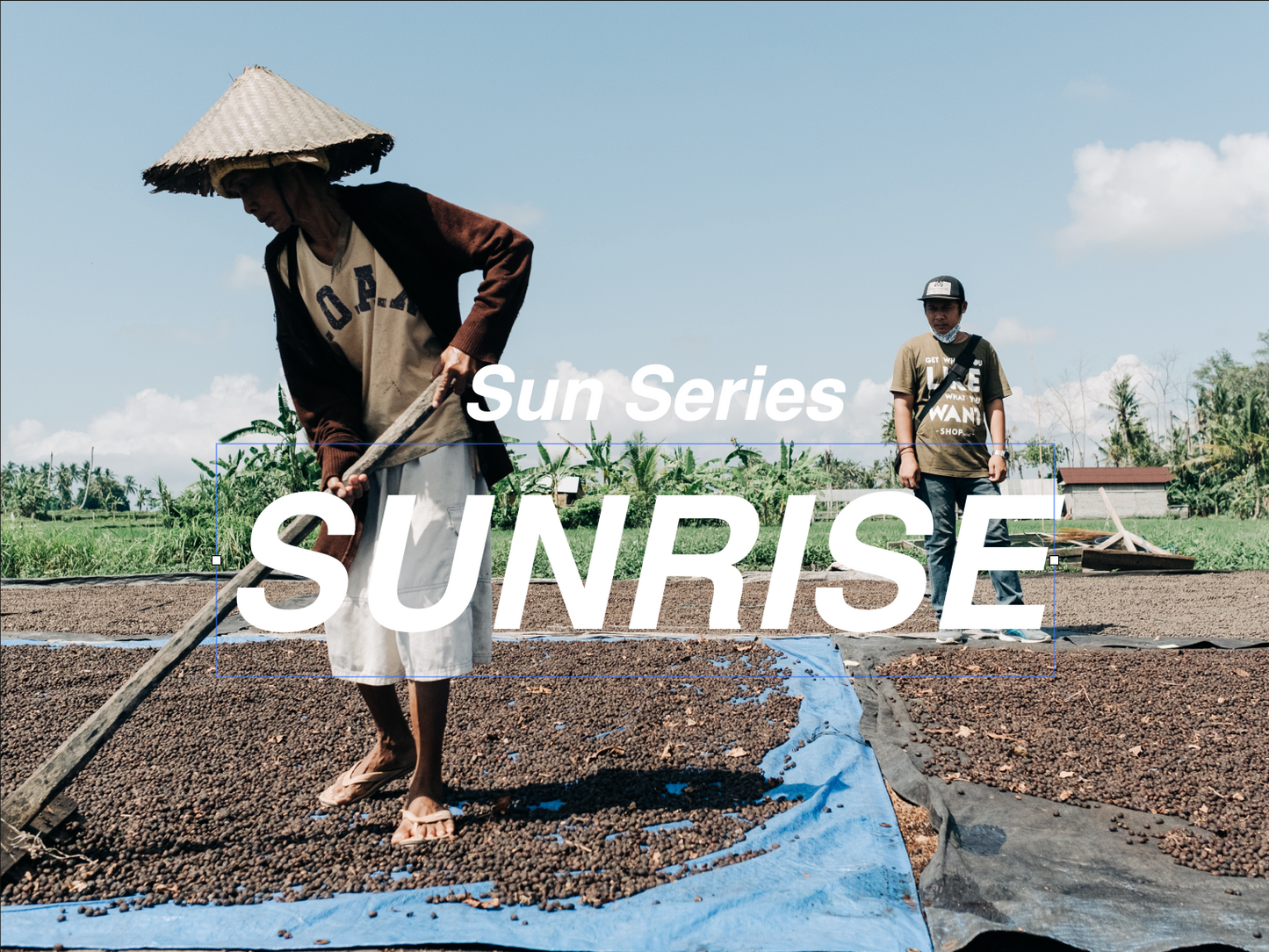 日出 SUNRISE - 淺焙配方