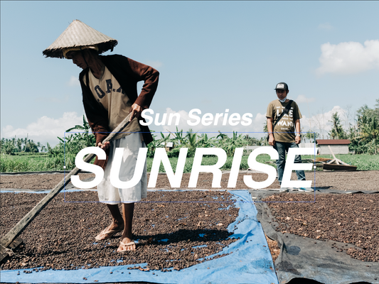 日出 SUNRISE - 淺焙配方