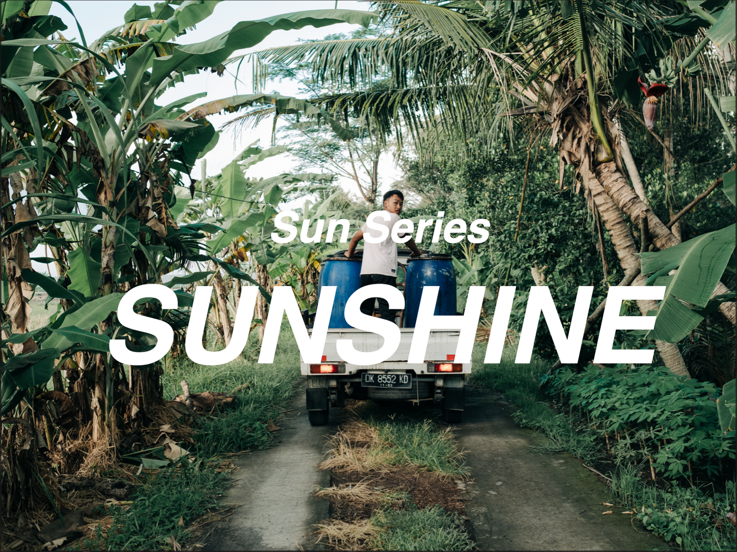 日光 SUNSHINE - 中焙配方