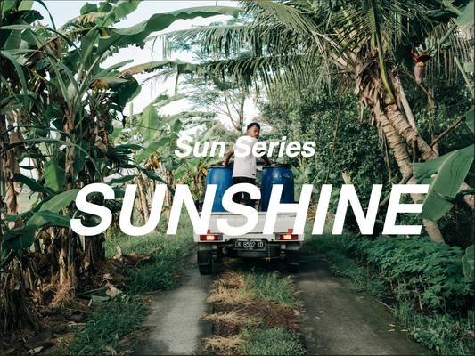 日光 SUNSHINE - 中焙配方