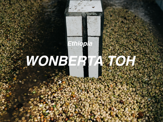 衣索比亞 耶加雪菲 TOH冠軍 ⽔洗 (Ethiopia Wonberta TOH Champion Washed）